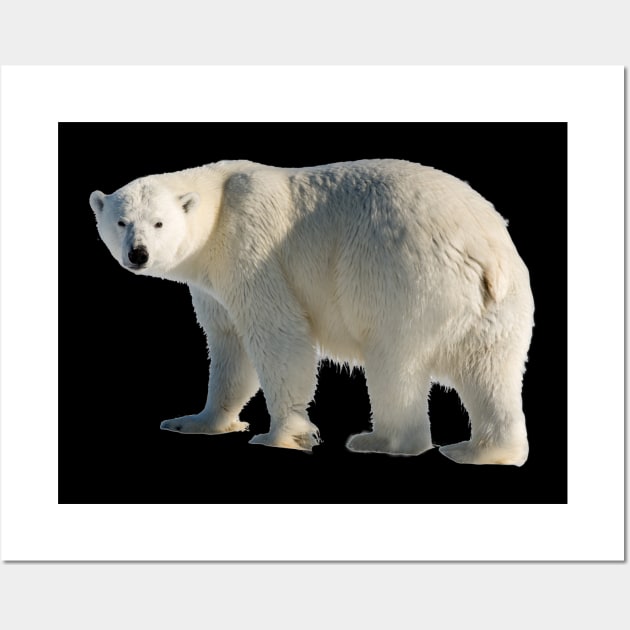 Polar Bear Wall Art by Endangered Animals